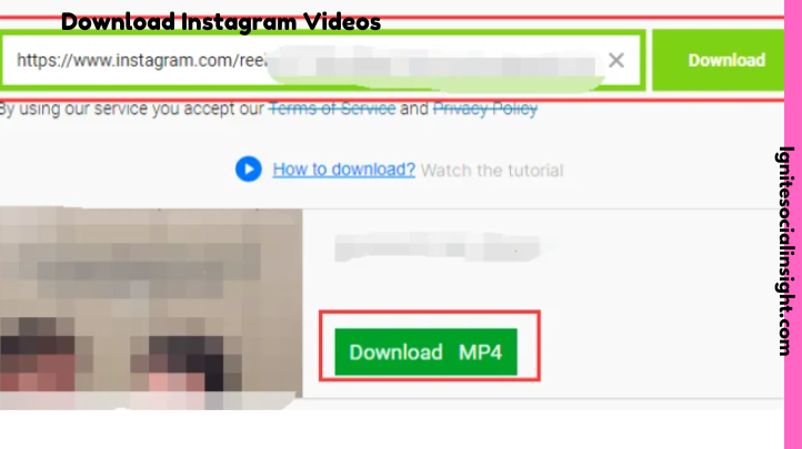 How to Download Instagram Videos