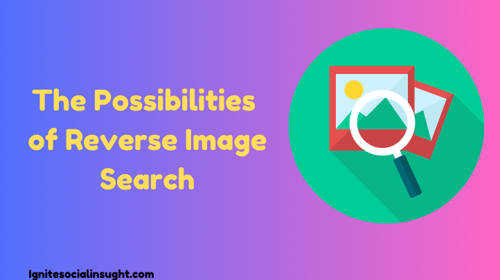 Possibilities of Reverse Image Search